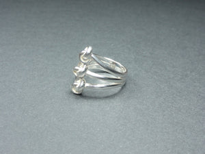 DSC02711.JPG  2592 × 1944 px  Bague en argent "trois en une"-Ana de Peru